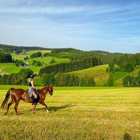 Ferienhof Gerda Sankt Georgen im Schwarzwald Luaran gambar
