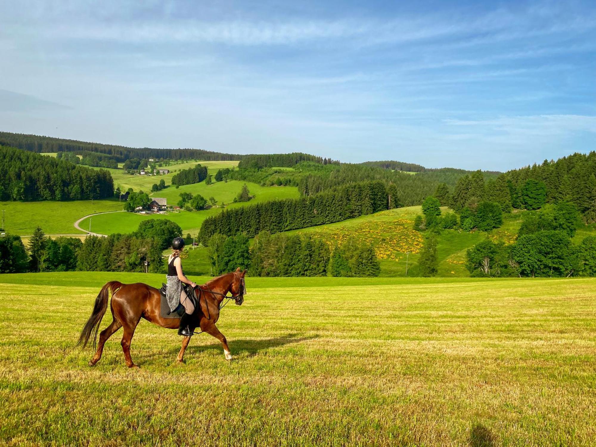 Ferienhof Gerda Sankt Georgen im Schwarzwald Luaran gambar